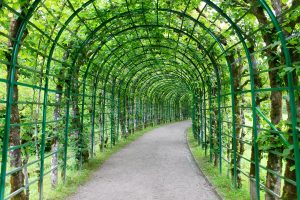 Arbor over a pathway of greenery