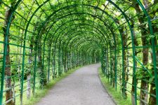 Arbor over a pathway of greenery